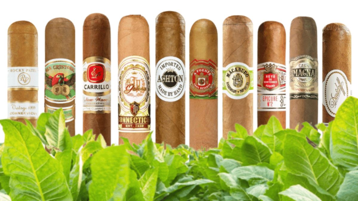 10 Mild Cigars That Are Big On Taste House of Horvath